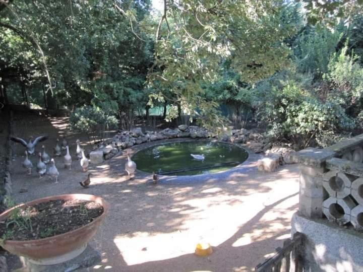 Parco Delle Streghe Vila Scarlino Exterior foto