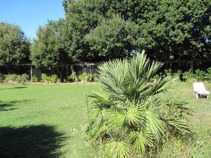 Parco Delle Streghe Vila Scarlino Exterior foto