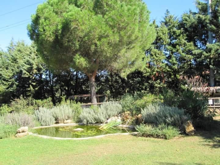 Parco Delle Streghe Vila Scarlino Exterior foto